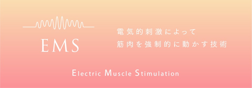 Electric Muscle Stimulation 電気的刺激によって筋肉を強制的に動かす技術